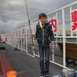 尼崎市立魚つり公園 釣果