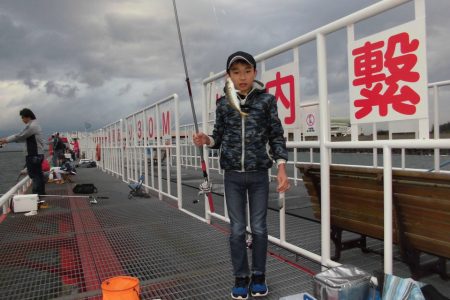 尼崎市立魚つり公園 釣果