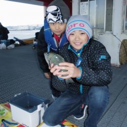 尼崎市立魚つり公園 釣果