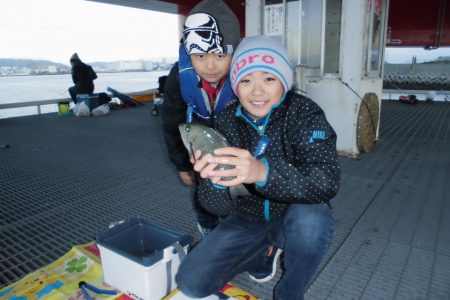 尼崎市立魚つり公園 釣果