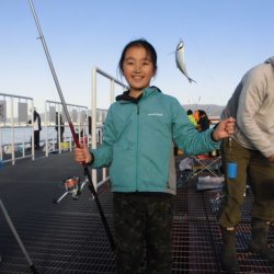 尼崎市立魚つり公園 釣果