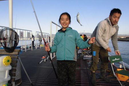 尼崎市立魚つり公園 釣果