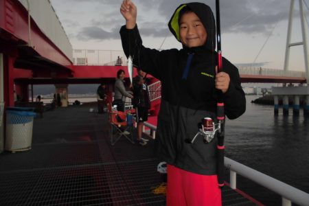 尼崎市立魚つり公園 釣果