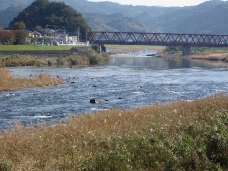 狩野川(狩野川漁業協同組合) 釣果