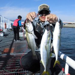尼崎市立魚つり公園 釣果
