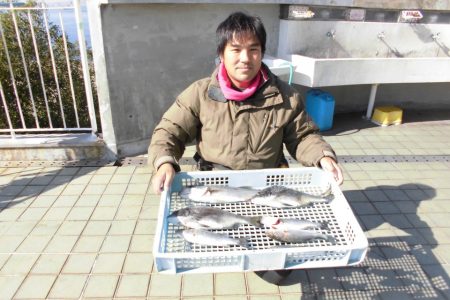 尼崎市立魚つり公園 釣果