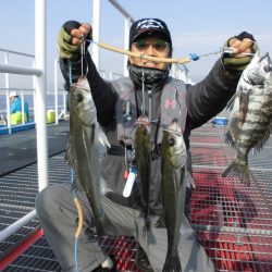 尼崎市立魚つり公園 釣果