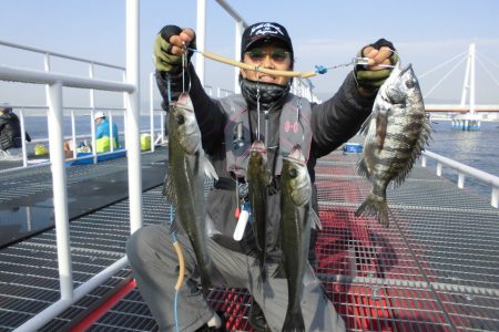 尼崎市立魚つり公園 釣果