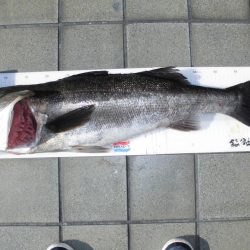 尼崎市立魚つり公園 釣果