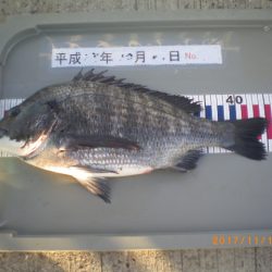 姫路市立遊魚センター 釣果