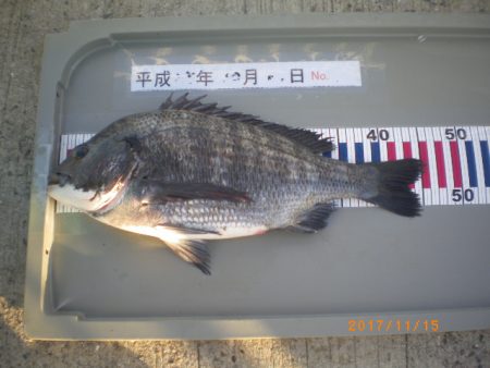 姫路市立遊魚センター 釣果