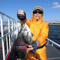 尼崎市立魚つり公園 釣果