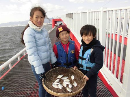 尼崎市立魚つり公園 釣果