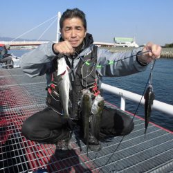 尼崎市立魚つり公園 釣果