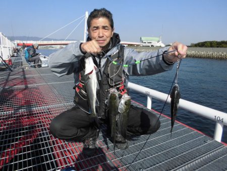 尼崎市立魚つり公園 釣果