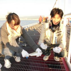 尼崎市立魚つり公園 釣果