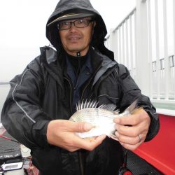 尼崎市立魚つり公園 釣果