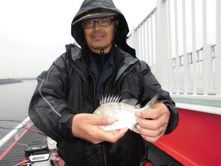 尼崎市立魚つり公園 釣果