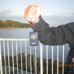 姫路市立遊魚センター 釣果