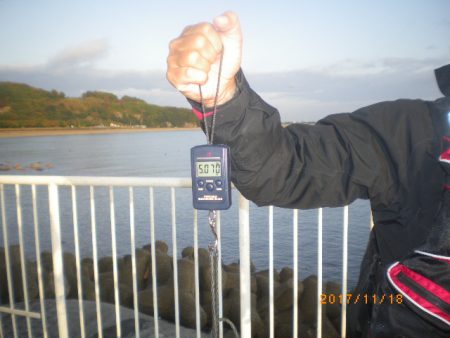 姫路市立遊魚センター 釣果