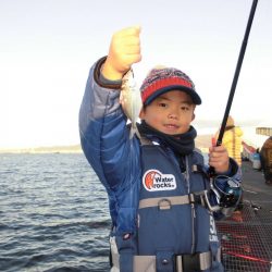 尼崎市立魚つり公園 釣果