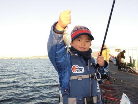 尼崎市立魚つり公園 釣果