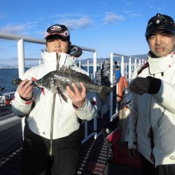 尼崎市立魚つり公園 釣果