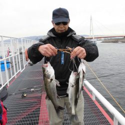 尼崎市立魚つり公園 釣果