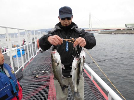 尼崎市立魚つり公園 釣果