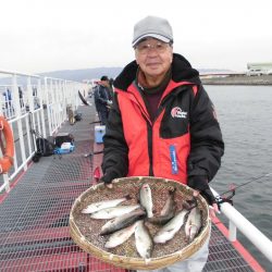 尼崎市立魚つり公園 釣果