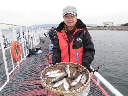 尼崎市立魚つり公園 釣果