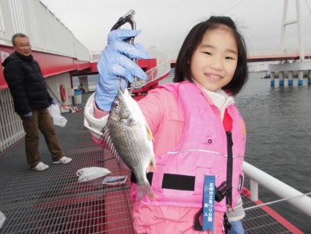 尼崎市立魚つり公園 釣果