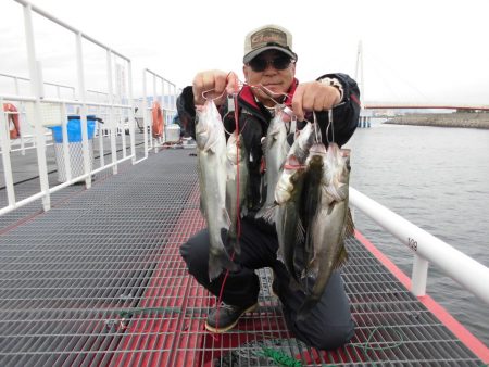 尼崎市立魚つり公園 釣果