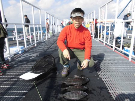 尼崎市立魚つり公園 釣果