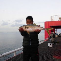 尼崎市立魚つり公園 釣果