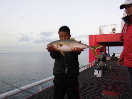 尼崎市立魚つり公園 釣果
