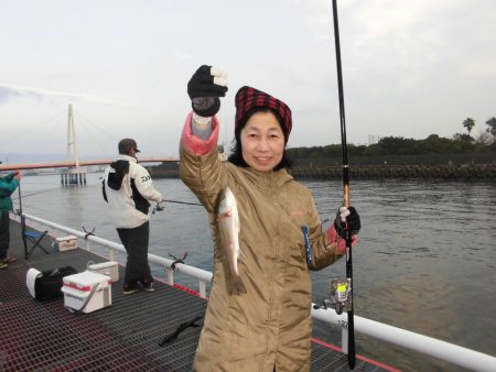 尼崎市立魚つり公園 釣果