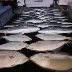 幸風（さちかぜ） 釣果