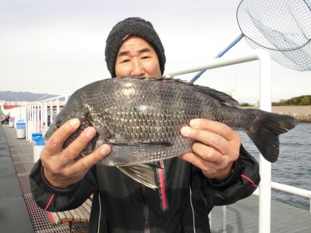 尼崎市立魚つり公園 釣果