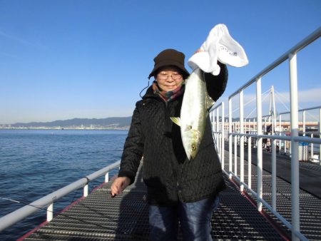 尼崎市立魚つり公園 釣果