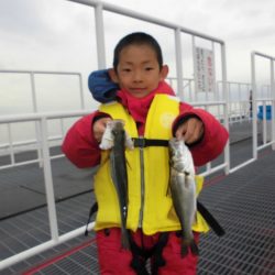 尼崎市立魚つり公園 釣果