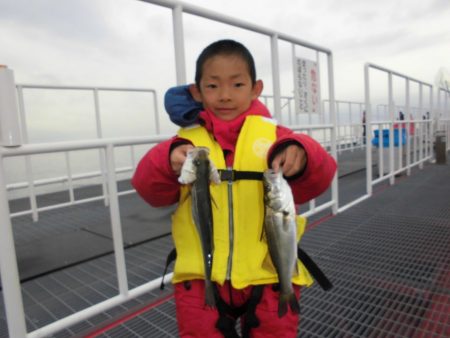 尼崎市立魚つり公園 釣果