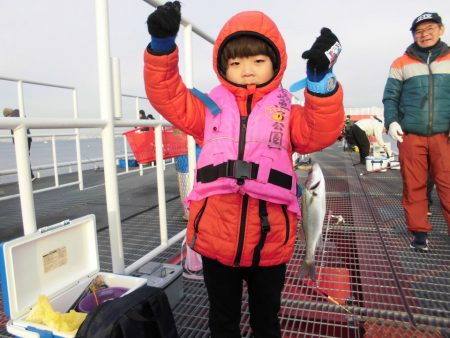 尼崎市立魚つり公園 釣果