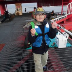 尼崎市立魚つり公園 釣果