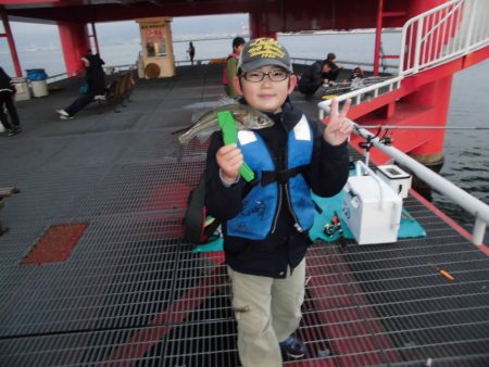 尼崎市立魚つり公園 釣果