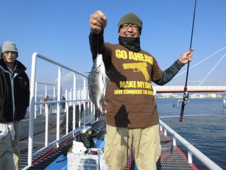 尼崎市立魚つり公園 釣果