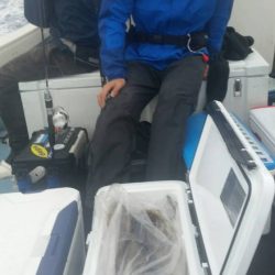 第五慶門丸 釣果