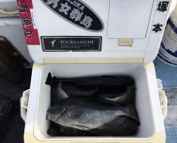 第八有漁丸 釣果