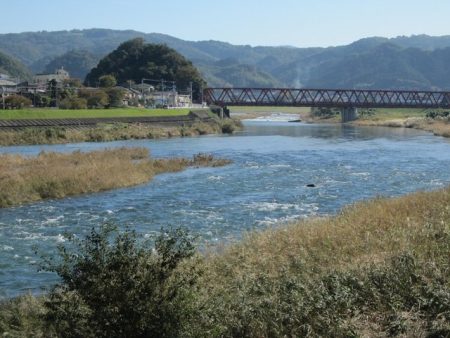 狩野川（狩野川漁業協同組合） 釣果