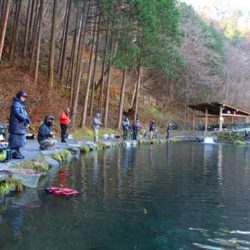小菅トラウトガーデン 釣果